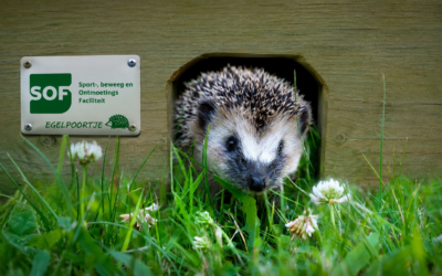 SOF gaat op pad voor de egel: samen bouwen aan een groene snelweg door Epe-Noord